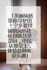 美丽凤桥带你寻梦田！宁乡夏铎铺镇凤桥社区创新共享菜园，市民认领菜土，体验耕种收获乐趣