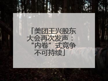 美团王兴股东大会再次发声：“内卷”式竞争不可持续