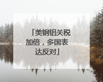 美钢铝关税加倍，多国表达反对
