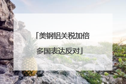 美钢铝关税加倍 多国表达反对