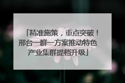精准施策，重点突破！邢台一群一方案推动特色产业集群提档升级