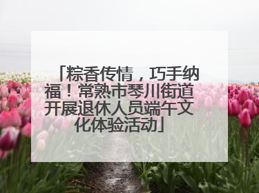 粽香传情，巧手纳福！常熟市琴川街道开展退休人员端午文化体验活动