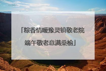 粽香情暖豫灵镇敬老院 端午敬老意满桑榆
