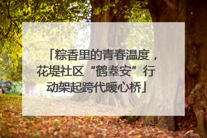 粽香里的青春温度，花堤社区“鹤耋安”行动架起跨代暖心桥