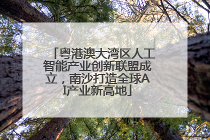 粤港澳大湾区人工智能产业创新联盟成立，南沙打造全球AI产业新高地