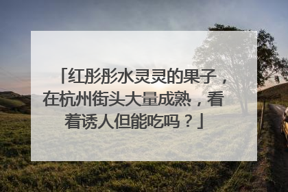 红彤彤水灵灵的果子，在杭州街头大量成熟，看着诱人但能吃吗？