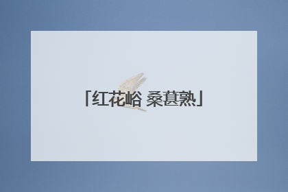 红花峪 桑葚熟