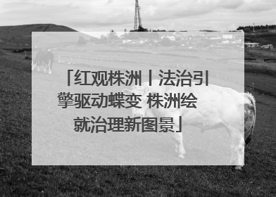 红观株洲丨法治引擎驱动蝶变 株洲绘就治理新图景