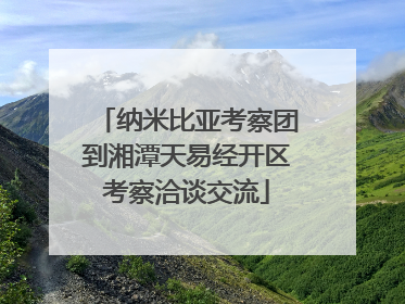 纳米比亚考察团到湘潭天易经开区考察洽谈交流