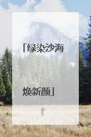 绿染沙海焕新颜