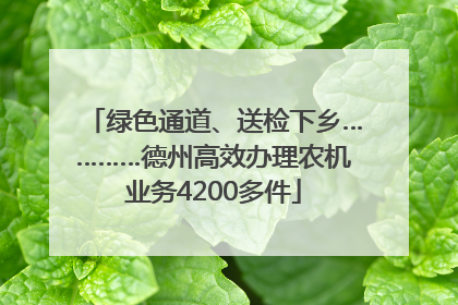 绿色通道、送检下乡…………德州高效办理农机业务4200多件