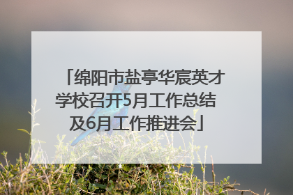 绵阳市盐亭华宸英才学校召开5月工作总结及6月工作推进会