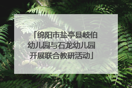 绵阳市盐亭县岐伯幼儿园与石龙幼儿园开展联合教研活动