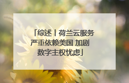 综述丨荷兰云服务严重依赖美国 加剧数字主权忧虑