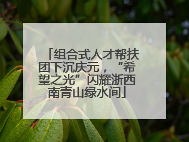 组合式人才帮扶团下沉庆元，“希望之光”闪耀浙西南青山绿水间