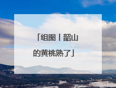 组图丨韶山的黄桃熟了