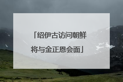 绍伊古访问朝鲜 将与金正恩会面