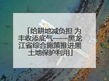 给耕地减负担 为丰收添底气——黑龙江省综合施策推进黑土地保护利用