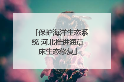 保护海洋生态系统 河北推进海草床生态修复