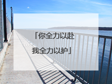你全力以赴 我全力以护