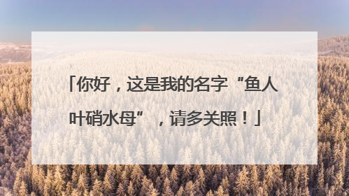 你好，这是我的名字“鱼人叶硝水母”，请多关照！