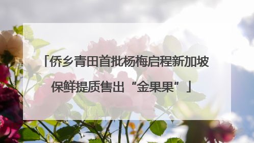 侨乡青田首批杨梅启程新加坡 保鲜提质售出“金果果”