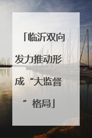临沂双向发力推动形成“大监督”格局