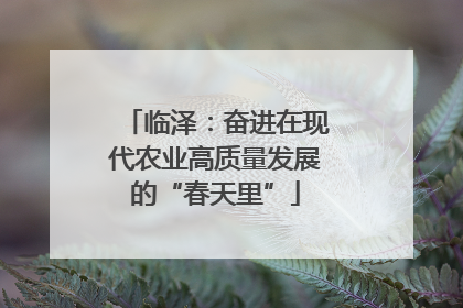 临泽：奋进在现代农业高质量发展的“春天里”