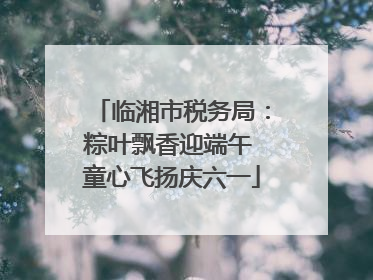 临湘市税务局：粽叶飘香迎端午 童心飞扬庆六一