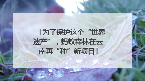 为了保护这个“世界遗产”，蚂蚁森林在云南再“种”新项目