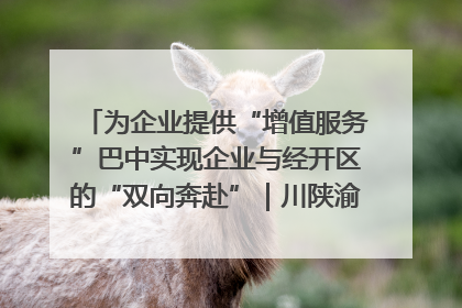 为企业提供“增值服务”巴中实现企业与经开区的“双向奔赴”｜川陕渝网络名人巴中行