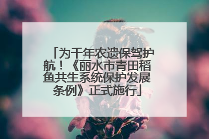 为千年农遗保驾护航！《丽水市青田稻鱼共生系统保护发展条例》正式施行