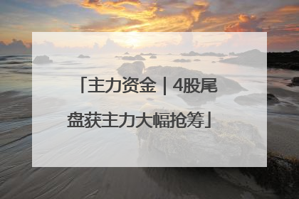 主力资金｜4股尾盘获主力大幅抢筹