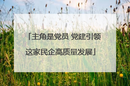 主角是党员 党建引领这家民企高质量发展