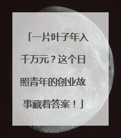 一片叶子年入千万元？这个日照青年的创业故事藏着答案！