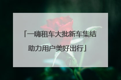 一嗨租车大批新车集结 助力用户美好出行