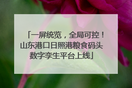 一屏统览，全局可控！山东港口日照港粮食码头数字孪生平台上线