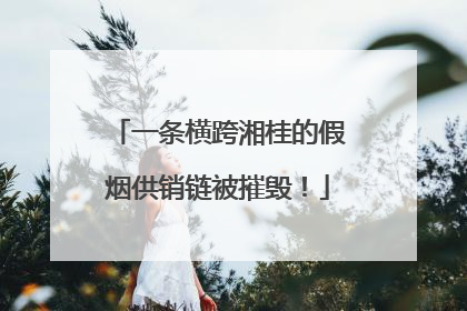 一条横跨湘桂的假烟供销链被摧毁！