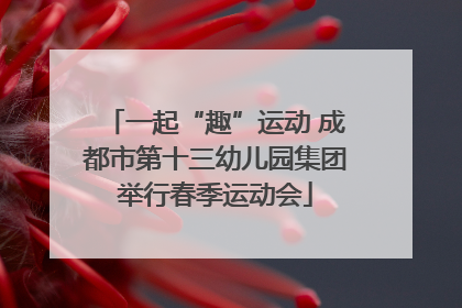 一起“趣”运动 成都市第十三幼儿园集团举行春季运动会