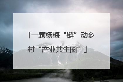一颗杨梅“链”动乡村“产业共生圈”