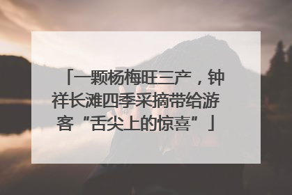 一颗杨梅旺三产，钟祥长滩四季采摘带给游客“舌尖上的惊喜”