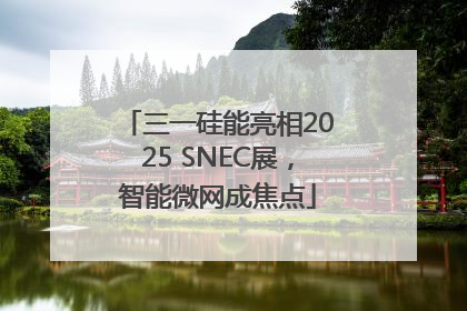 三一硅能亮相2025 SNEC展，智能微网成焦点