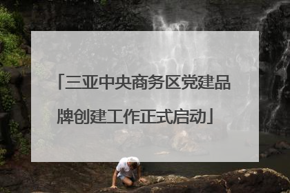 三亚中央商务区党建品牌创建工作正式启动