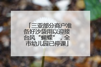 三亚部分商户准备好沙袋用以迎接台风“蝴蝶”，全市幼儿园已停课