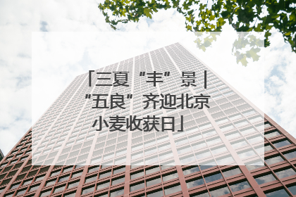 三夏“丰”景｜“五良”齐迎北京小麦收获日