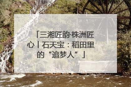 三湘匠韵·株洲匠心丨石天宝：稻田里的“追梦人”