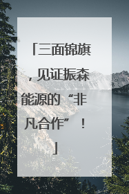 三面锦旗，见证振森能源的“非凡合作”！
