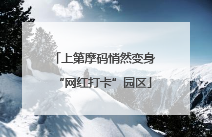 上第摩码悄然变身“网红打卡”园区