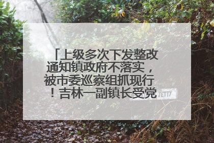 上级多次下发整改通知镇政府不落实，被市委巡察组抓现行！吉林一副镇长受党内警告处分