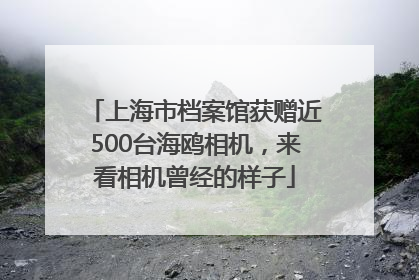 上海市档案馆获赠近500台海鸥相机，来看相机曾经的样子